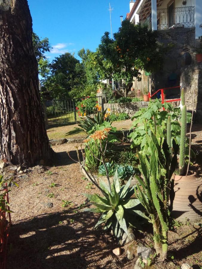 Casa Do Balcao Guest House Alcains Exterior photo